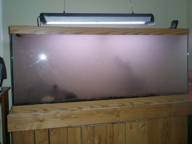 tank 007.jpg