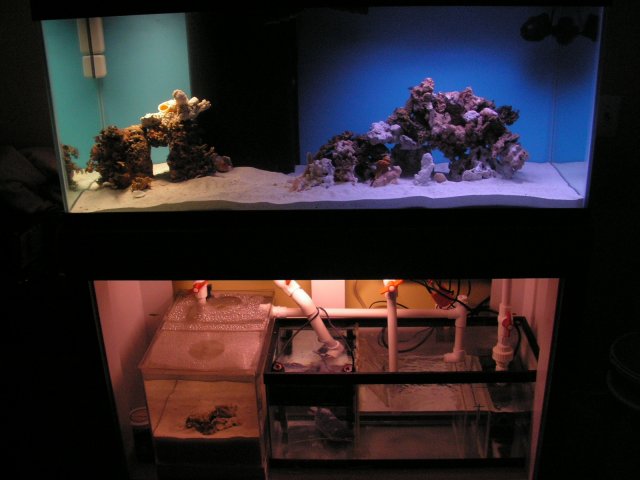 Tank Shots 002.jpg