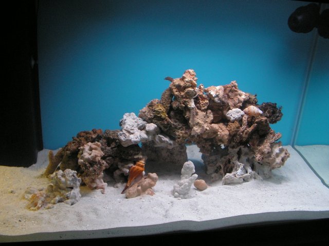Tank Shots 004.jpg