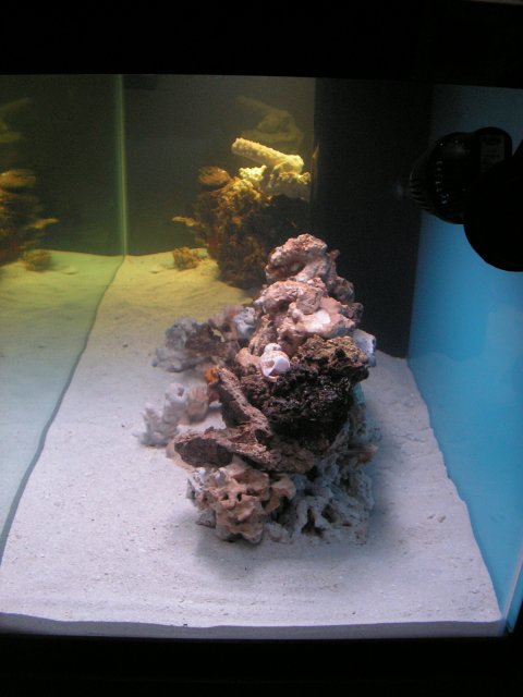 Tank Shots 003.jpg