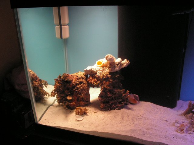 Tank Shots 005.jpg