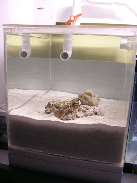 Tank Shots 001.jpg
