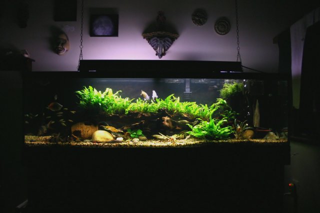 IMG_2487 copy_filtered.jpg