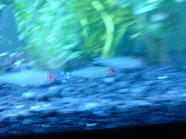 DSC00150.JPG DSC00150.JPG