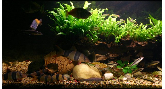 IMG_2535 copy.jpg IMG_2535 copy.jpg