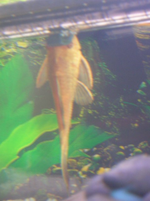 DSCN1790.JPG