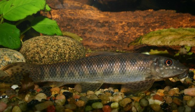 IMG_2482.jpg IMG_2482.jpg