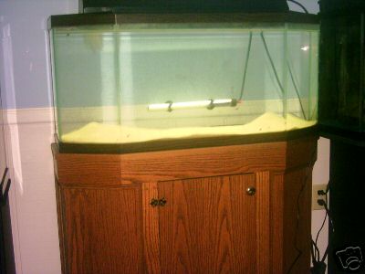 33 flat back.jpg 33 flat back.jpg