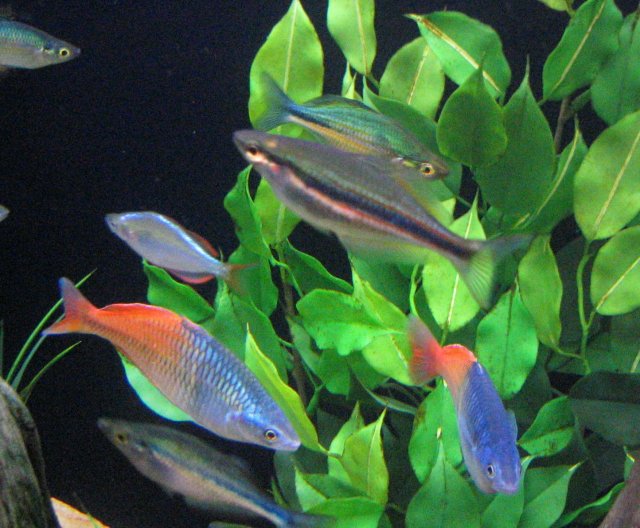 XX185_8596.jpg XX185_8596.jpg