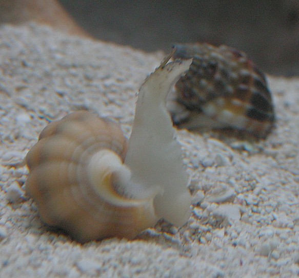 Clean up crew 013.jpg