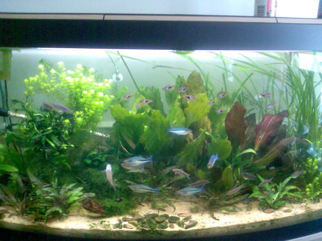 Image000.jpg