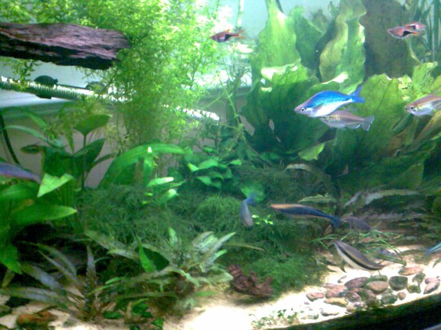 Image002.jpg