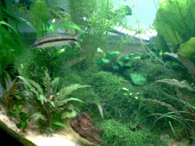Image007.jpg