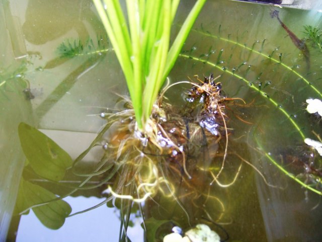 DSCF0605.jpg