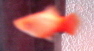 Picture 011.jpg