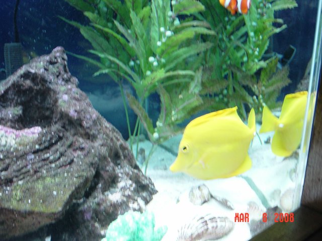 salt-tank2 004.jpg