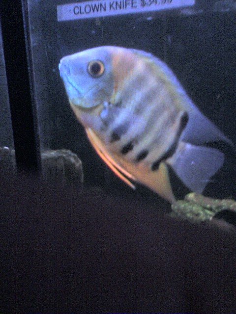 031608_1750a.jpg