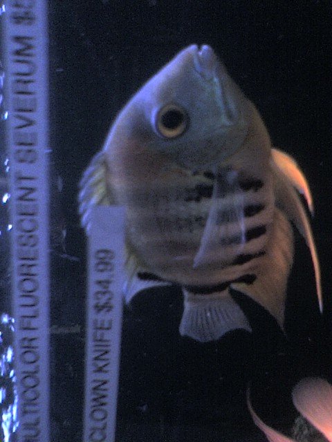 031608_1750c.jpg
