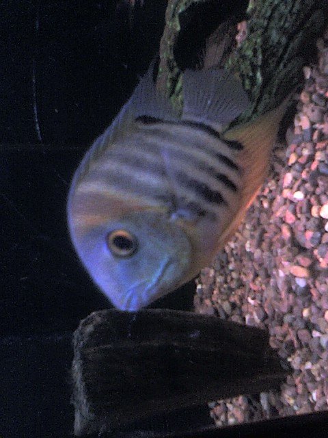 031608_1750d.jpg