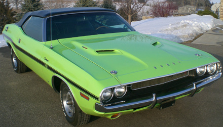 My Baby 1.jpg
