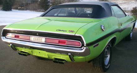 My Baby 2.jpg
