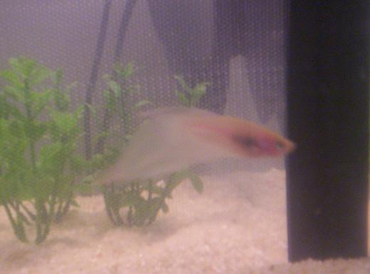 100_1198.JPG