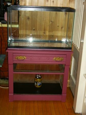 Fish tank and stand and Jayden 004.jpg