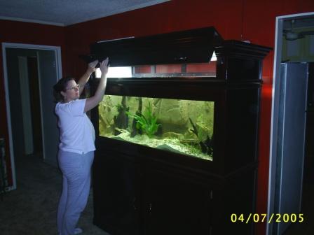 girl opening aquarium top- web sized.JPG