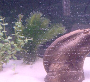100_0108.jpg