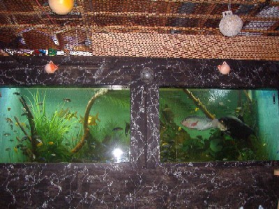 Fishtank14.JPG