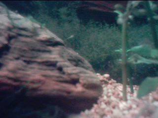 Resized_IMAGE05.jpg