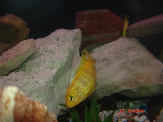 DSC00687 (Medium) (Custom).JPG