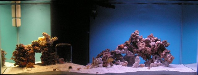 Clean up crew 045.jpg