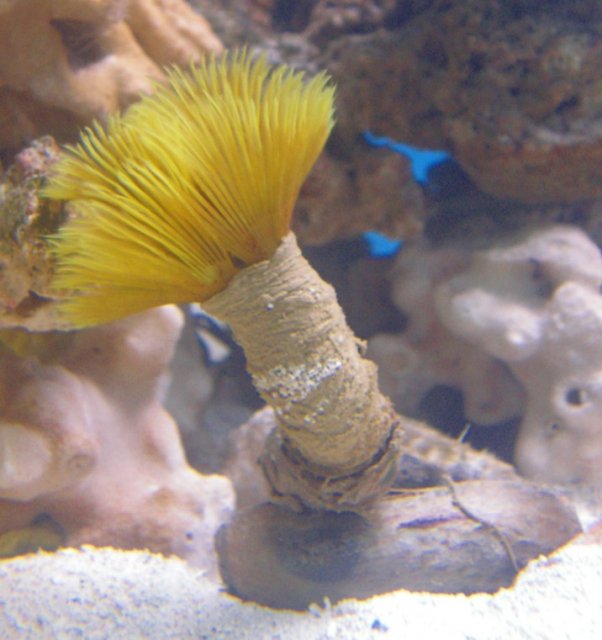 Clean up crew 028.jpg