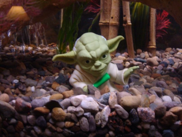 DSC00162.JPG