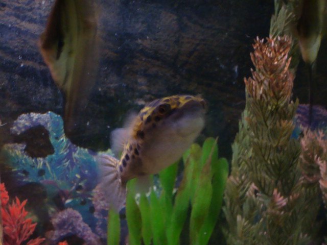 DSC00178.JPG