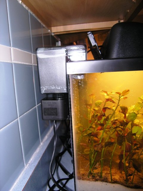 kitchen tank filter.JPG