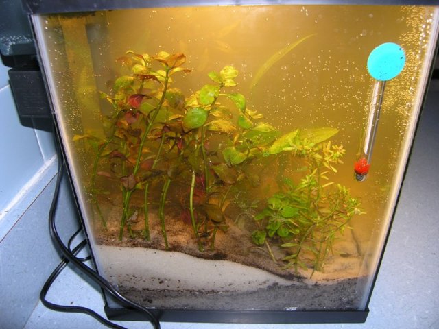 tank left side.JPG