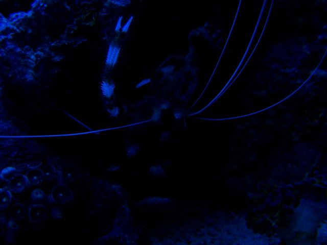 100_0701.JPG