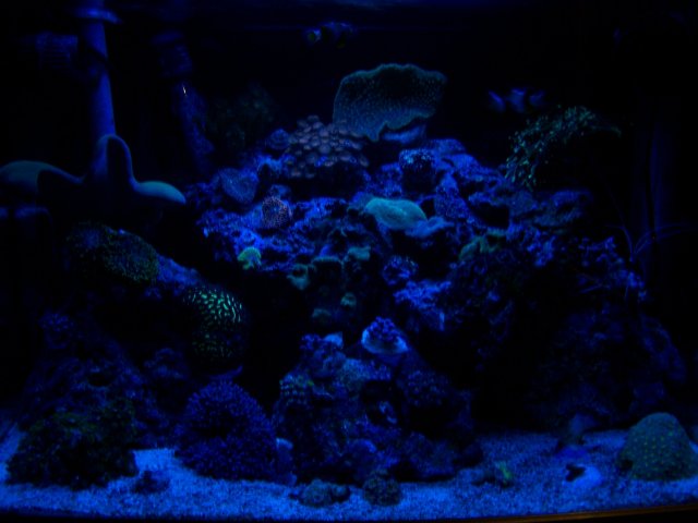 100_0704.JPG