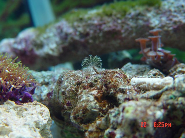DSC00102.JPG