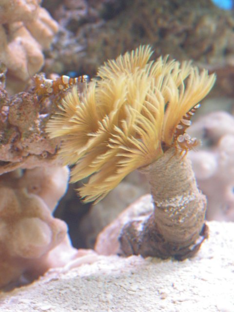 Clean up crew 042.jpg