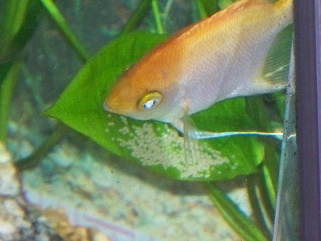 103_0134.JPG 103_0134.JPG