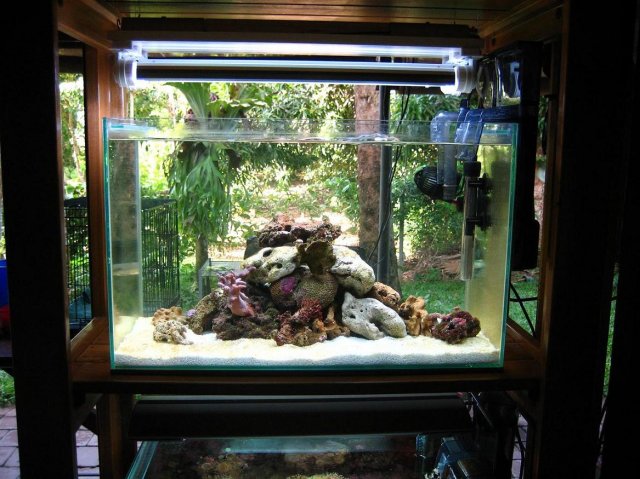 Aquarium 3.jpg