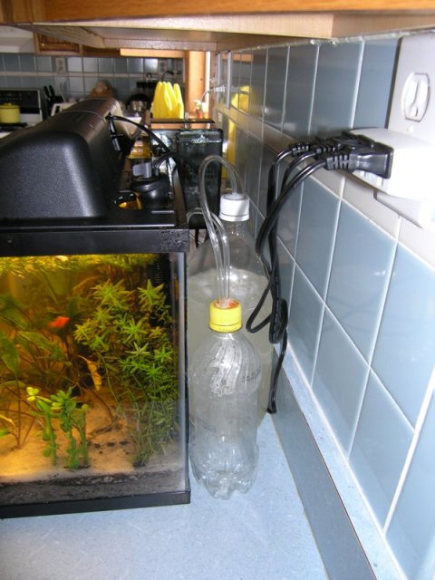 CO2 DIY day 1.JPG