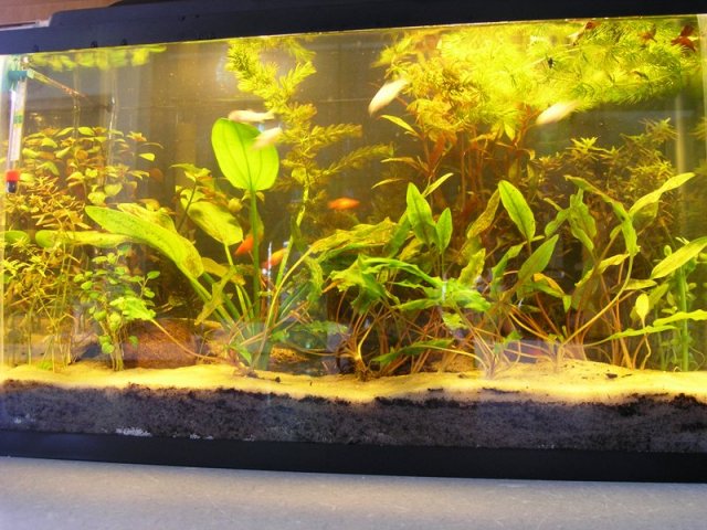 CO2 tank day 1.JPG