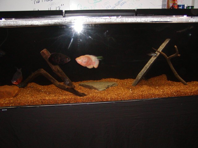 P1010316.JPG