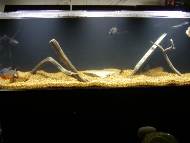 P1010317.JPG