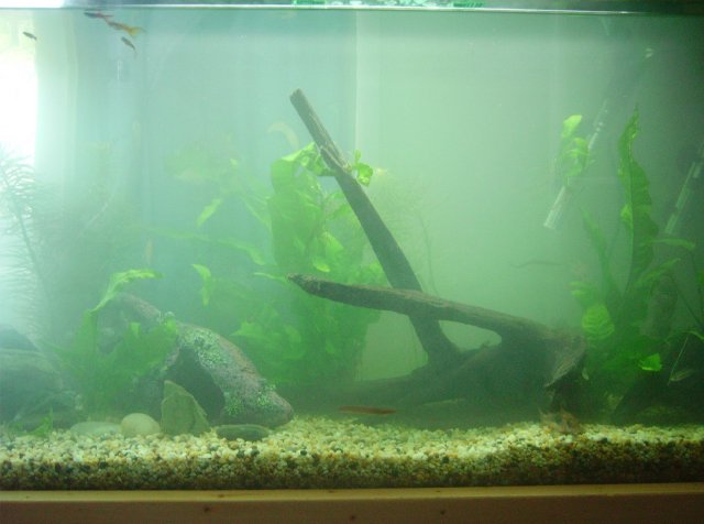 IMGP1603 copy.jpg IMGP1603 copy.jpg