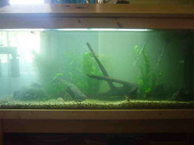 IMGP1602 copy.jpg IMGP1602 copy.jpg